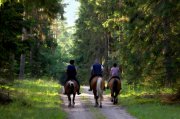 Pony Trekking in the Mourne Mountains