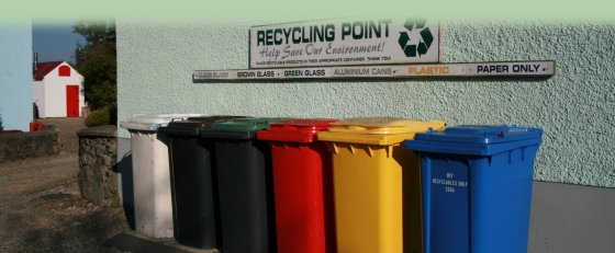 Environmental Policy